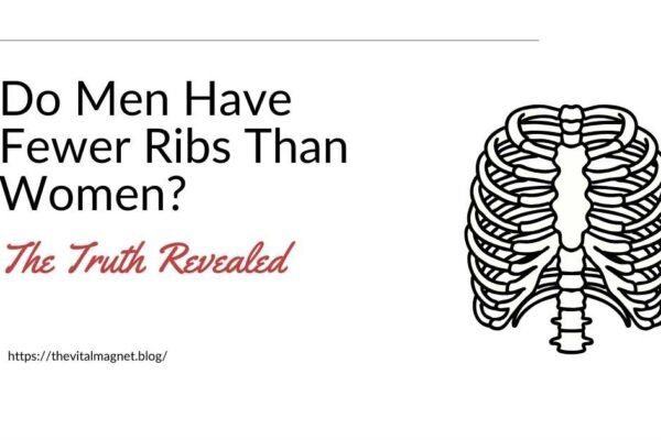 Do Men Have Fewer Ribs Than Women