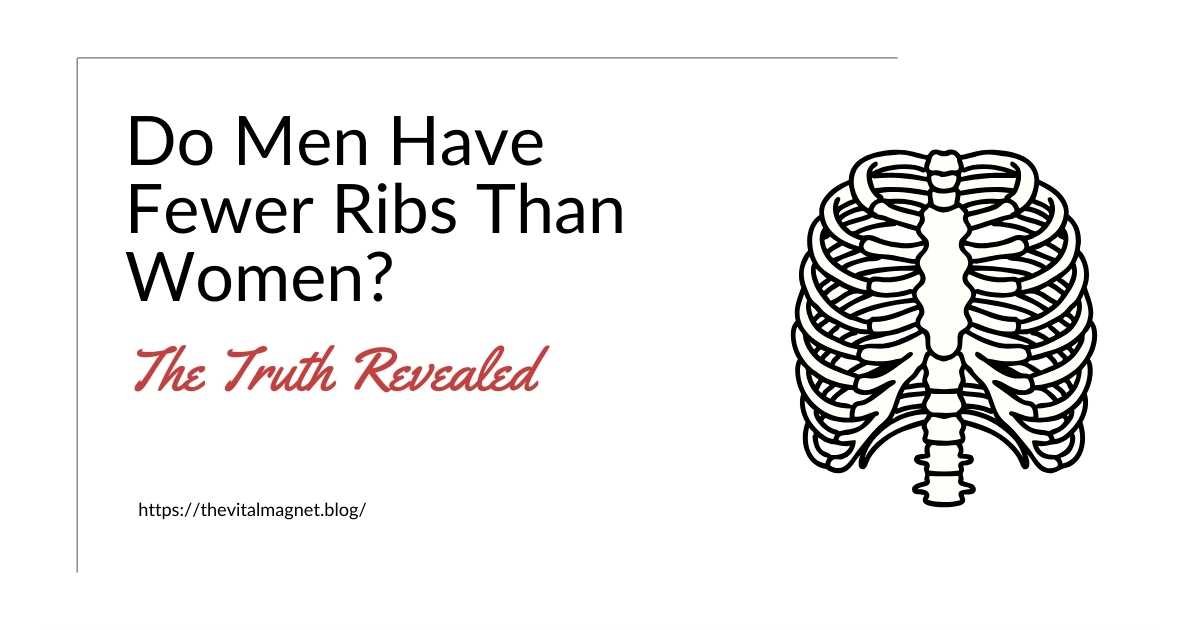 Do Men Have Fewer Ribs Than Women