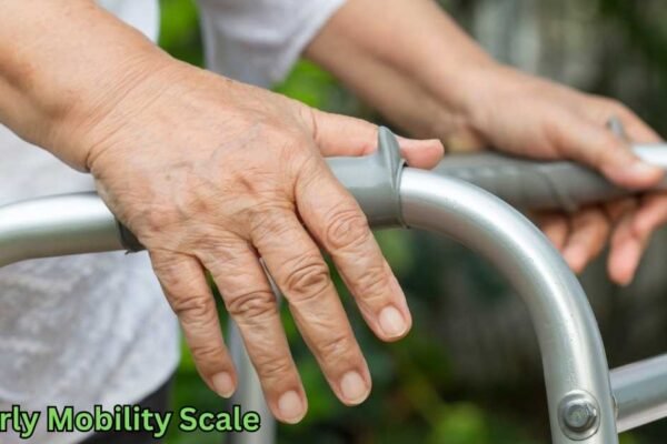 Elderly Mobility Scale