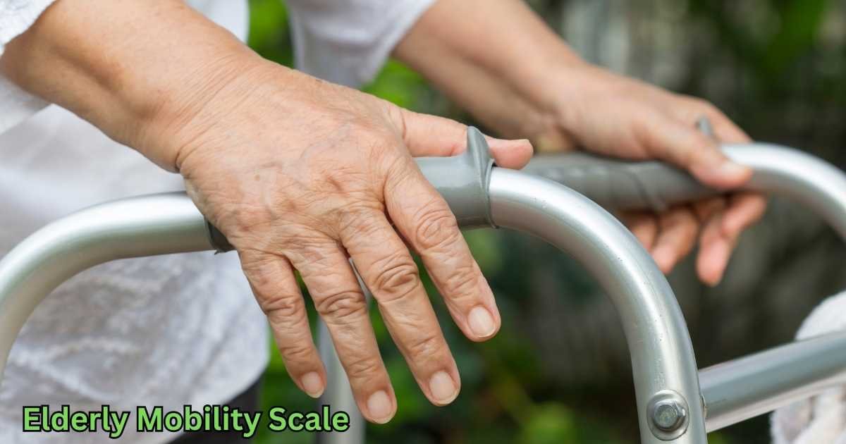 Elderly Mobility Scale