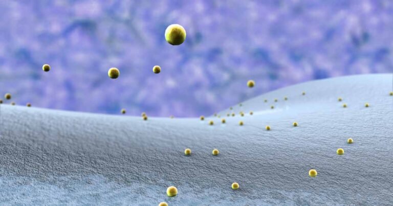 Which Blood Type Has the Weakest Immune System?