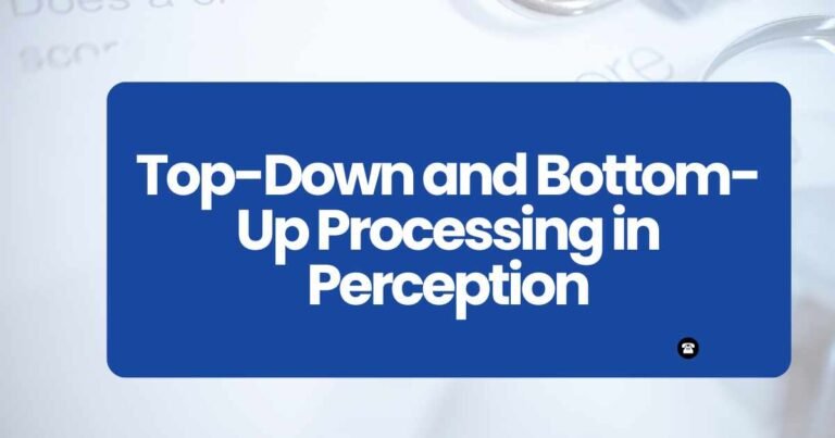Top-Down and Bottom-Up Processing in Perception