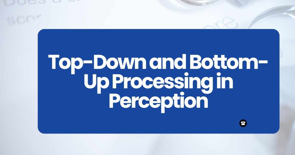 Top-Down and Bottom-Up Processing in Perception