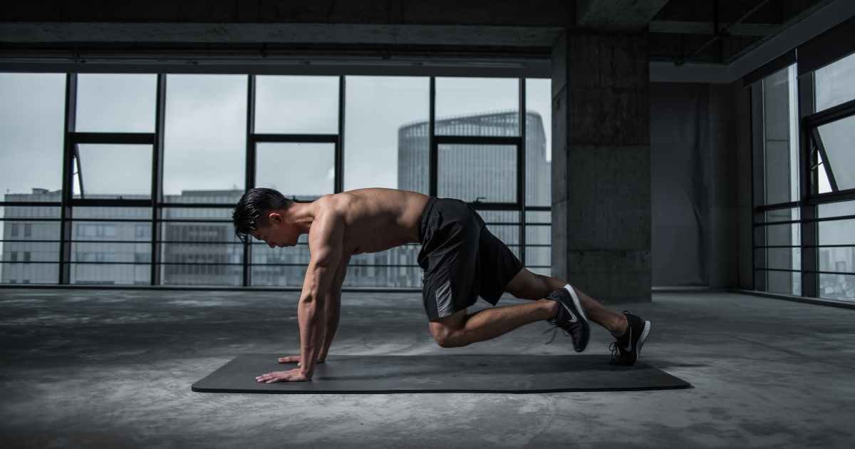 Bulgarian Split Squat Muscles Worked